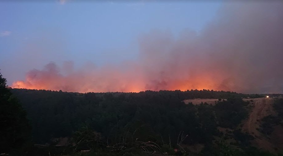 Експерти од Франција, Црна Гора и САД ќе ни помагаат во справуваање со пожарите