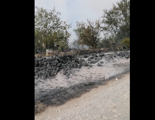 Изгорени најмалку четири куќи во два нови пожара попладнево