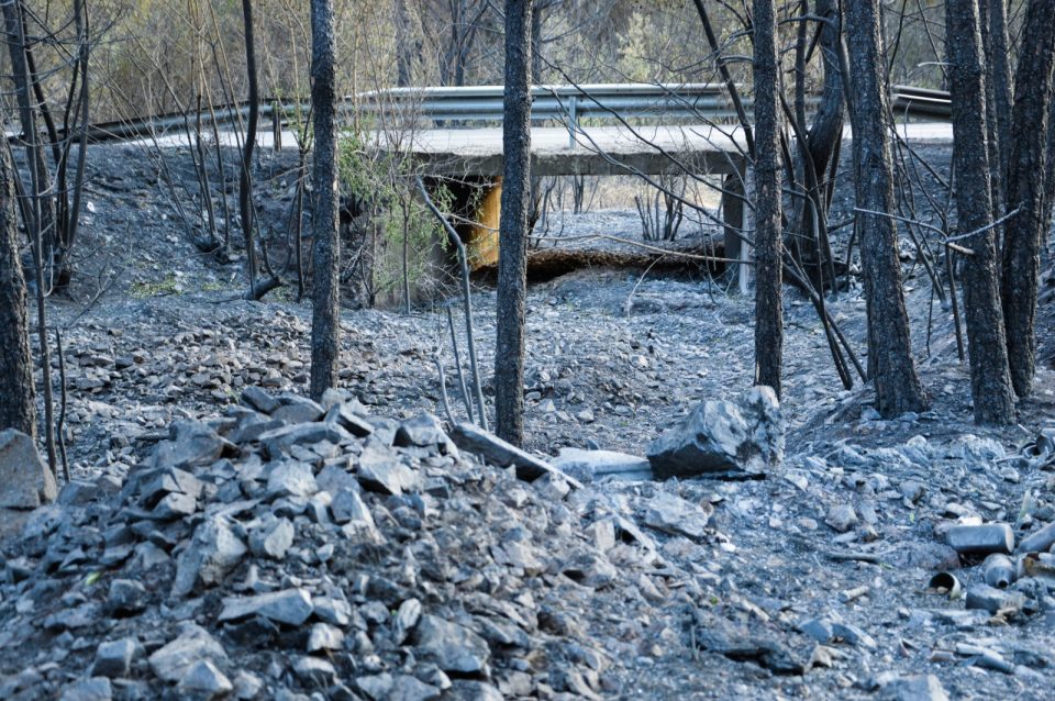 Истевник, Разловци, Драгоево, Топлица, Романовце: Eве каде гори во моментов