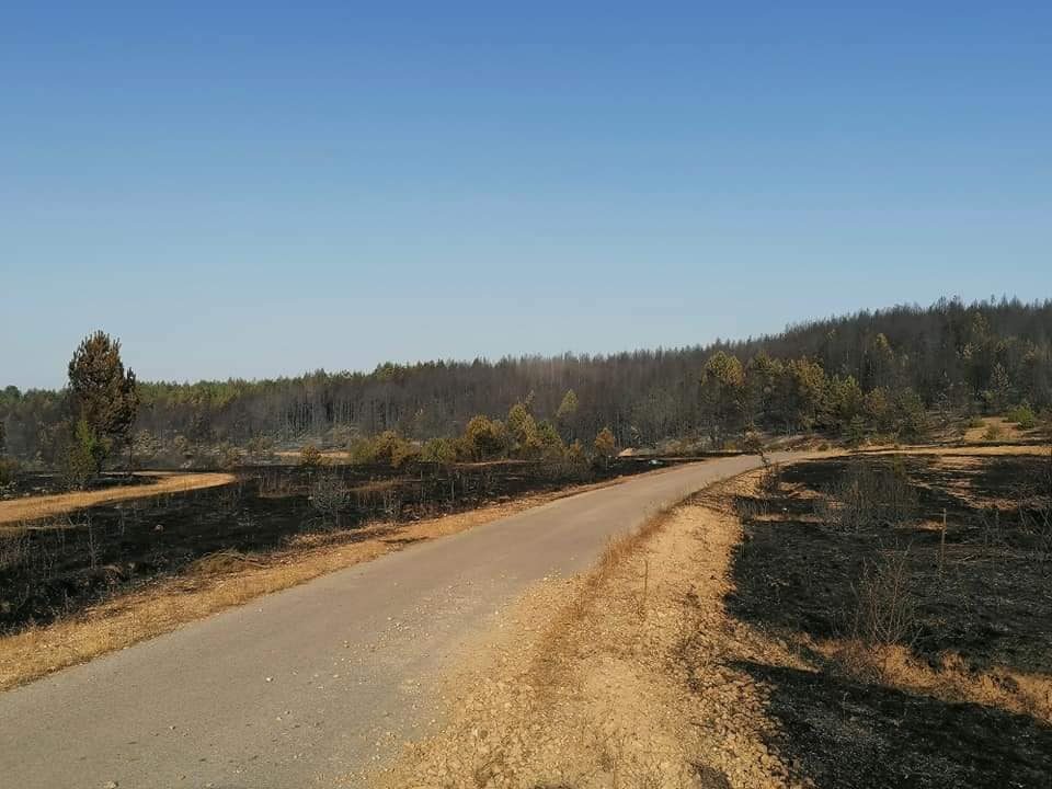 Пожарот во Пасјак под контрола, во нова опасност локалитетот Истевнички Кукуље и Балабанско Маало