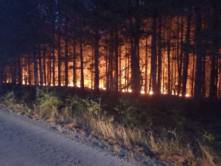 Се налути свети Илија, ја запали Македонија: 16 пожари во Скопје, Кочани во пламен, гори и Кокино, пожари во цела земја