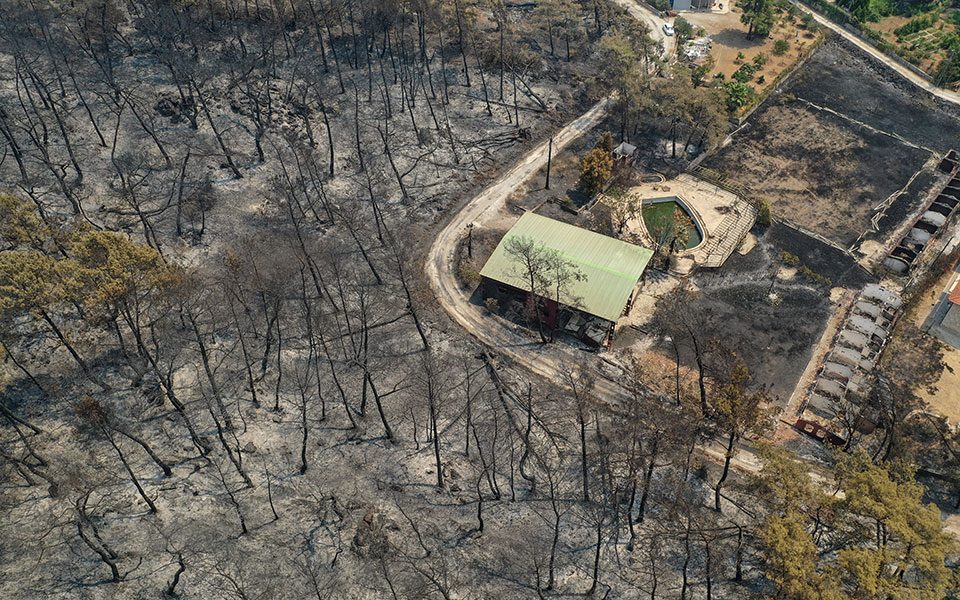 Исцрпувачка борба со стихијата: Под контрола ставени 122 од 129 шумски пожари во Турција