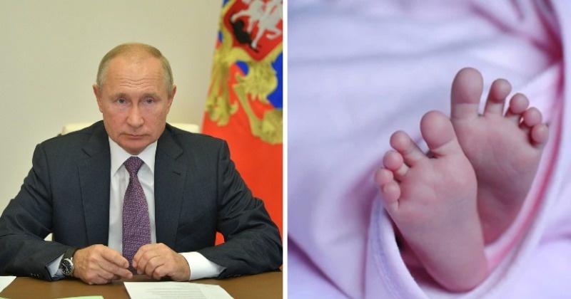 Неправда во Шведска: Не им дозволиле да го крстат синот Владимир Путин