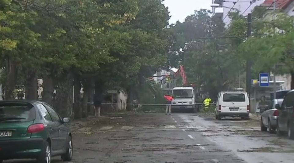 Невреме во Франција остави 250.000 домаќинства без струја