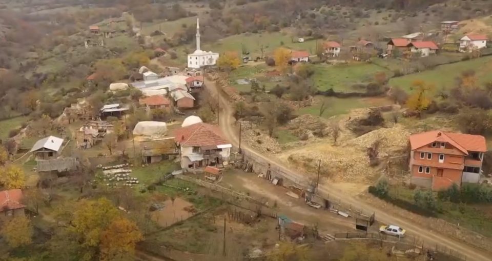 Крадци им се закануваат на мештаните и ги сечат дрвјата во атарот на селото Грачани на границата со Косово