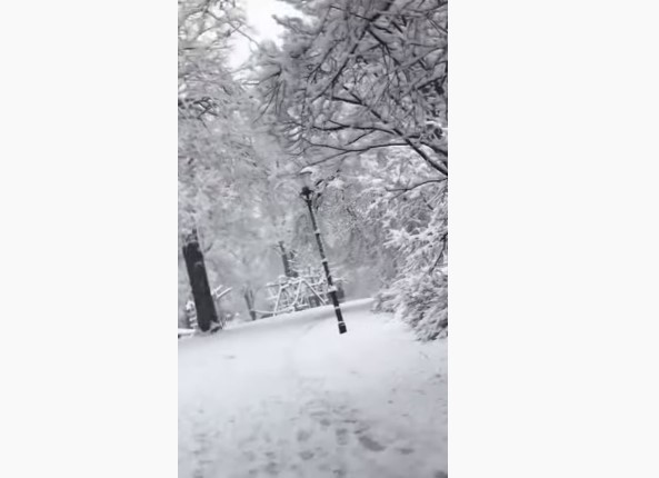 Снежните врнежи направиле хаос на патиштата во Австрија