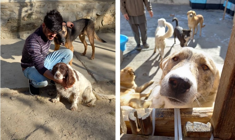 Миленичиња на дипломатите и војската на САД по пет месеци конечно евакуирани од Кабул и летаат за Канада