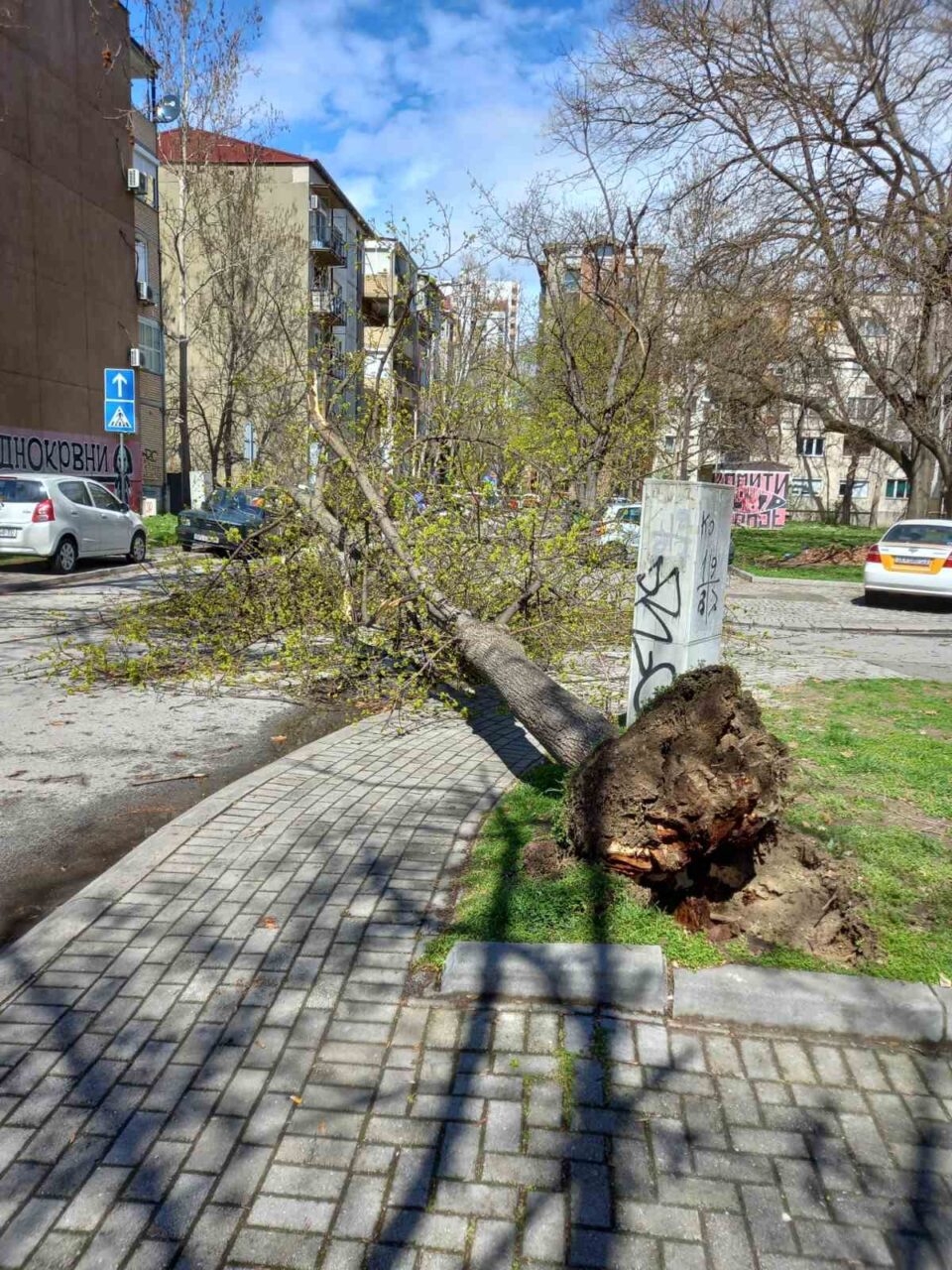 Силниот ветер денес направи штета во Карпош 4