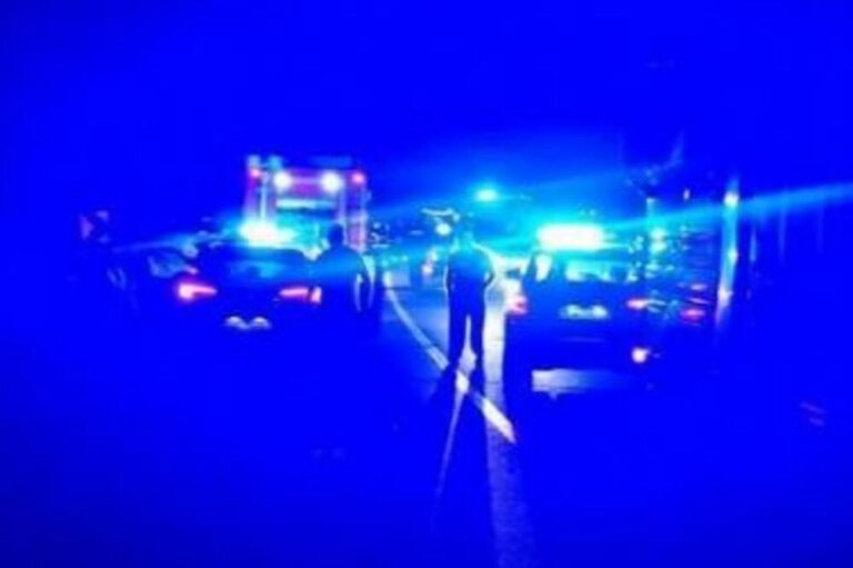 Две лица загинаа во сообраќајка во Србија, пожарникари извлекуваа тела од смачкан автомобил!