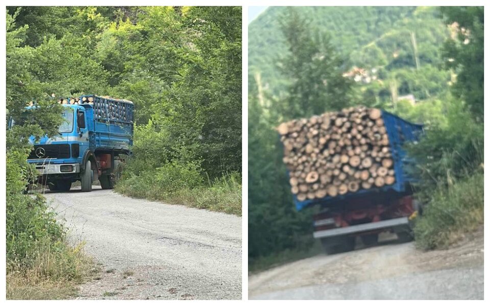 Јабланица се соголува, дрвократците го уништуваат и патот до Дренок