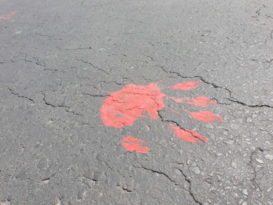 Летаат јајца кон парламентарната зграда, „крвави“ отпечатоци на асфалтот пред собранието