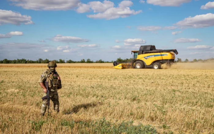 Украинско жито се извезува преку хрватски пристаништа