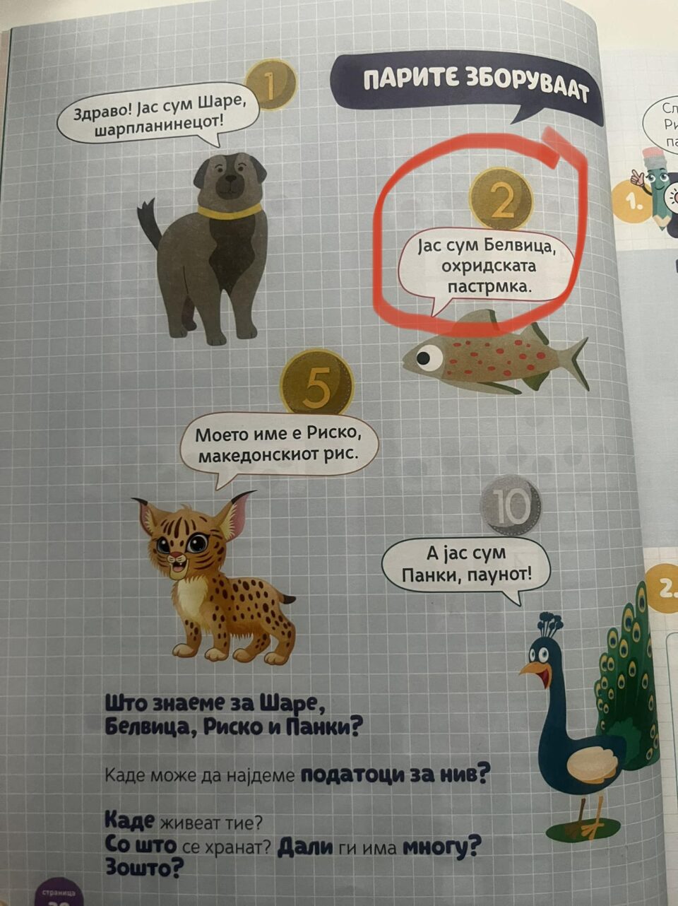 „Како да му објаснам на детево дека Белвица не е нагалено име за охридска пастрмка?“ реагираат родители на новиот апсурд по учебниците