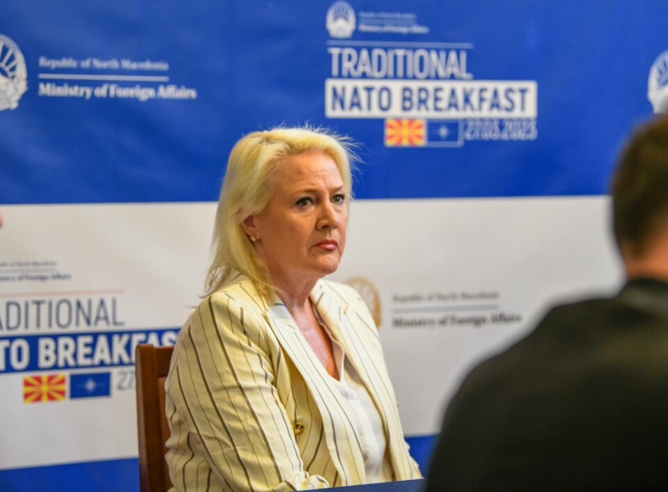 Хајредини: На Агелер ѝ ја затворија устата од Стејт департментот, ѝ рекоа остави тоа, кого ја интересира корупцијата