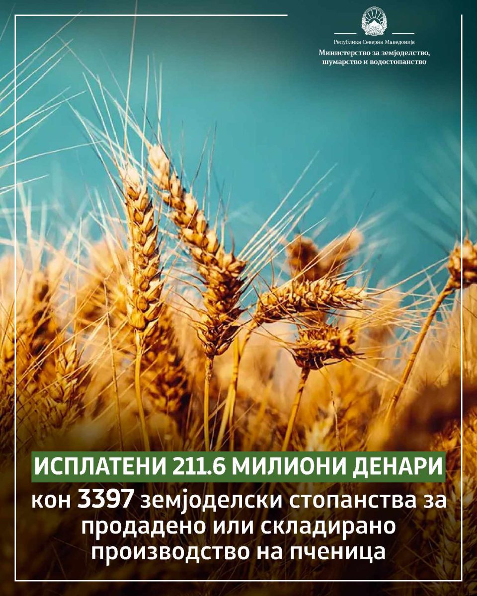 МЗШВ: Исплатени 211,6 милиони денари кон 3.397 земјоделски стопанства за остварено и продадено или складирано производство на пченица